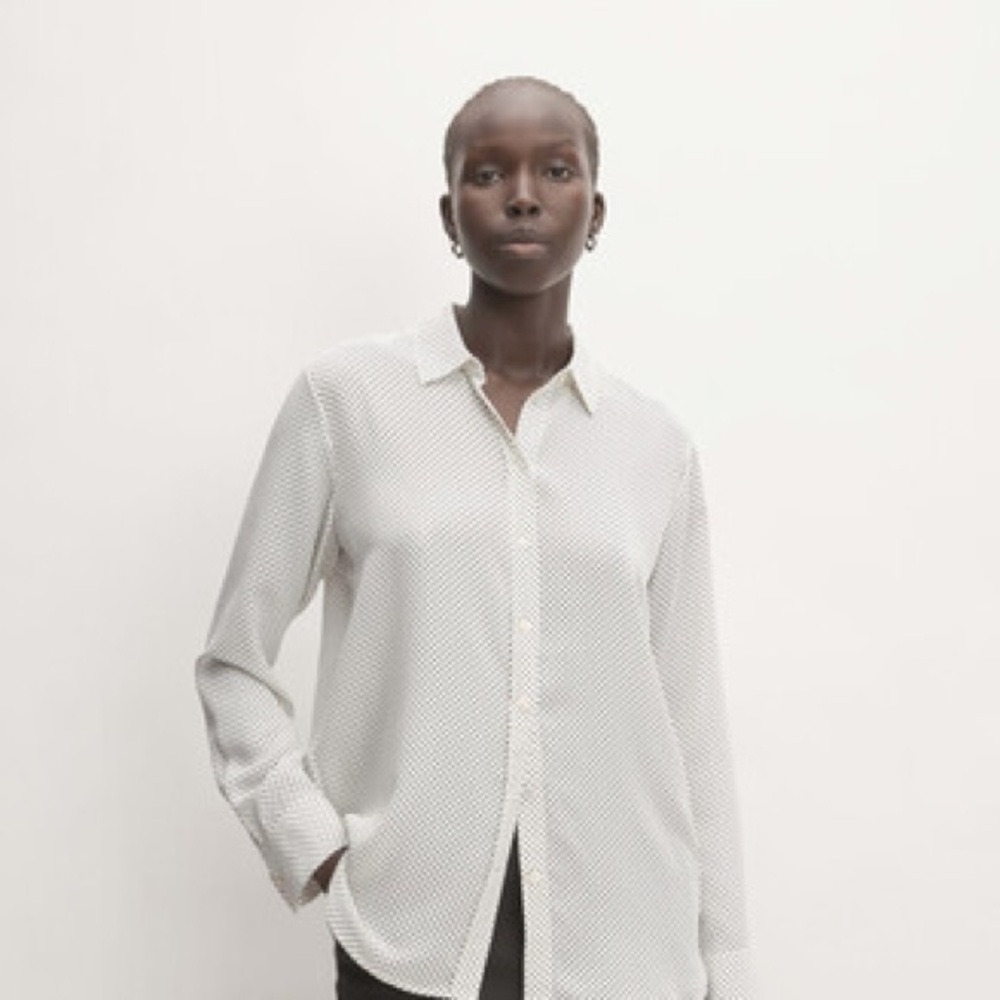 Everlane Washable Silk Relaxed Shirt